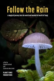 پوستر رسمی فیلم Follow the Rain (2024)