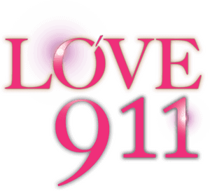 لوگوی رسمی فیلم Love 911 (2012)