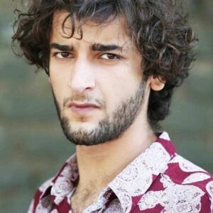 تصویر هنرمند Maziar Firouzi