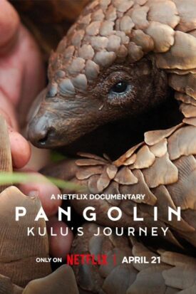 پوستر رسمی فیلم Pangolin Kulus Journey (2025)