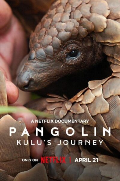 پوستر رسمی فیلم Pangolin Kulus Journey (2025)