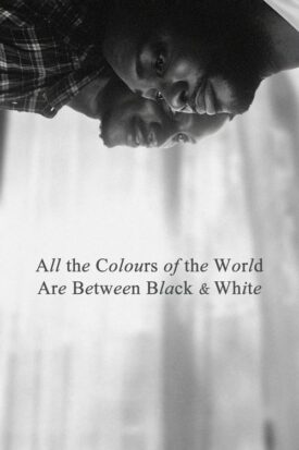پوستر رسمی فیلم All the Colours of the World Are Between Black and White (2023)