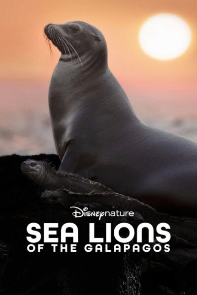 پوستر رسمی فیلم Sea Lions of the Galapagos (2025)