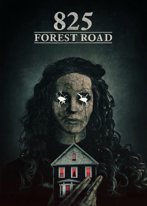 پوستر رسمی فیلم 825 Forest Road (2025)