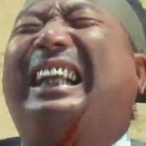 تصویر هنرمند Shen Yuen