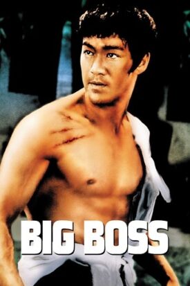 پوستر رسمی فیلم The Big Boss (1971)
