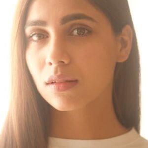 تصویر هنرمند Veebha Anand