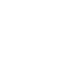 لوگوی کالکشن Bernie the Dolphin
