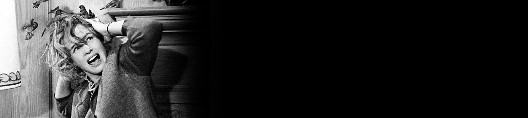 Image from The Birds - 1