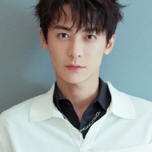 تصویر هنرمند Zhao Zhiwei