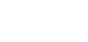 لوگوی رسمی فیلم Rumble in the Bronx (1995)