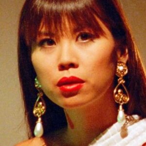 تصویر هنرمند Carolyn Liu