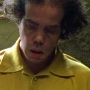 تصویر هنرمند Gianin Loffler