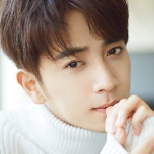 تصویر هنرمند Chen Ruoxuan