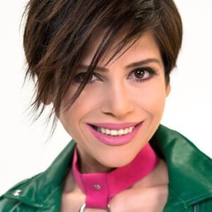 تصویر هنرمند Aydilge