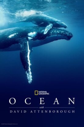 پوستر رسمی فیلم Ocean with David Attenborough (2025)