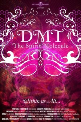 پوستر رسمی فیلم DMT: The Spirit Molecule (2010)