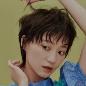 تصویر هنرمند Zhan Ni