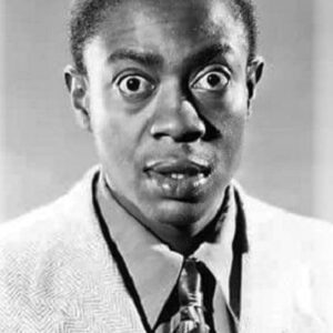 تصویر هنرمند Willie Best