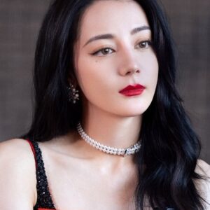 تصویر هنرمند Dilraba Dilmurat