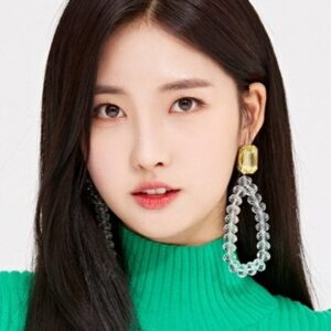 تصویر هنرمند Kim Si-hyeon