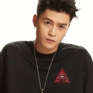 تصویر هنرمند Ning Huan Yu