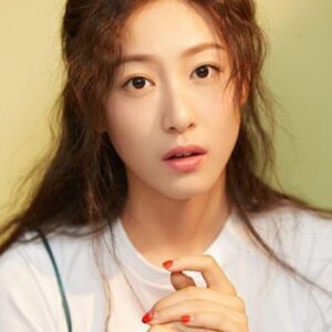 تصویر هنرمند Zhao Ruihan