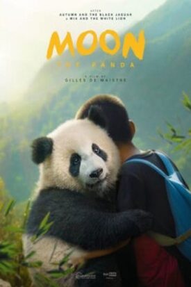Official poster for فیلم Moon The Panda (2025)