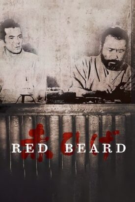 پوستر رسمی فیلم Red Beard (1965)