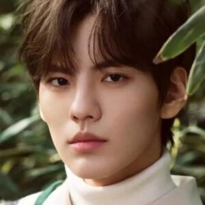 تصویر هنرمند Bi Wenjun