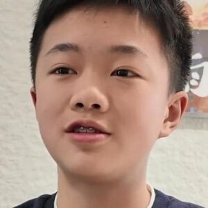 تصویر هنرمند Wang Zhixing