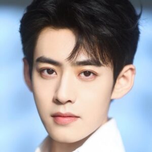 تصویر هنرمند Wang Xingwei