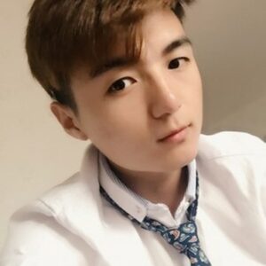 تصویر هنرمند Chen Zhangtaikang