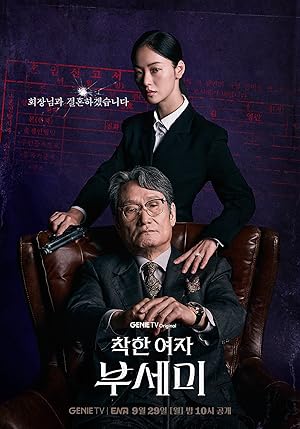 پوستر رسمی سریال Ms. Incognito (2025)