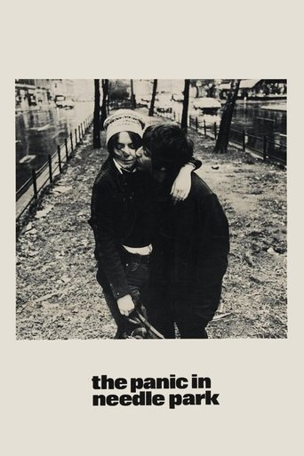 پوستر رسمی فیلم The Panic in Needle Park (1971)