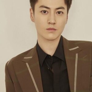 تصویر هنرمند Li Junyi