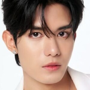 تصویر هنرمند Siraphop Manithikhun