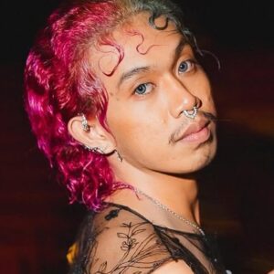 تصویر هنرمند Bonifasius Jose Mariano