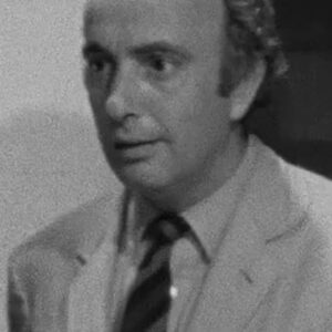 تصویر هنرمند Piero Vivarelli