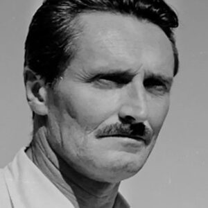 تصویر هنرمند Pietro Germi