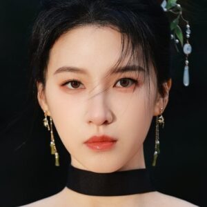 تصویر هنرمند Du Yuchen