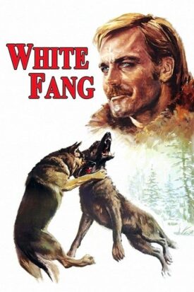 پوستر رسمی فیلم White Fang (1973)