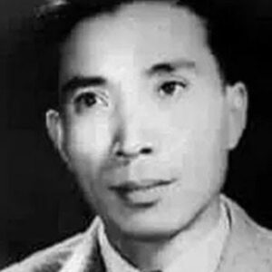 تصویر هنرمند Ning Chi