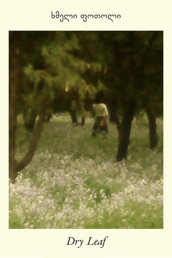 پوستر رسمی فیلم Dry Leaf (2025)