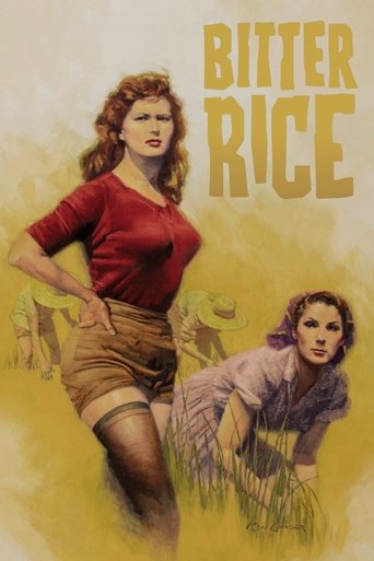 پوستر رسمی فیلم Bitter Rice (1949)