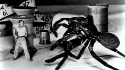 Teaser for The Incredible Shrinking Man