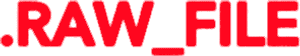 لوگوی رسمی فیلم Raw File (2025)