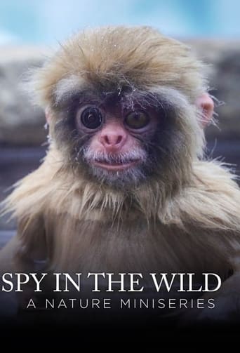 پوستر رسمی سریال Spy in the Wild (2017)