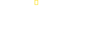 لوگوی رسمی فیلم Cheetahs Up Close with Bertie Gregory (2026)