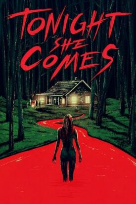 پوستر رسمی فیلم Tonight She Comes (2016)